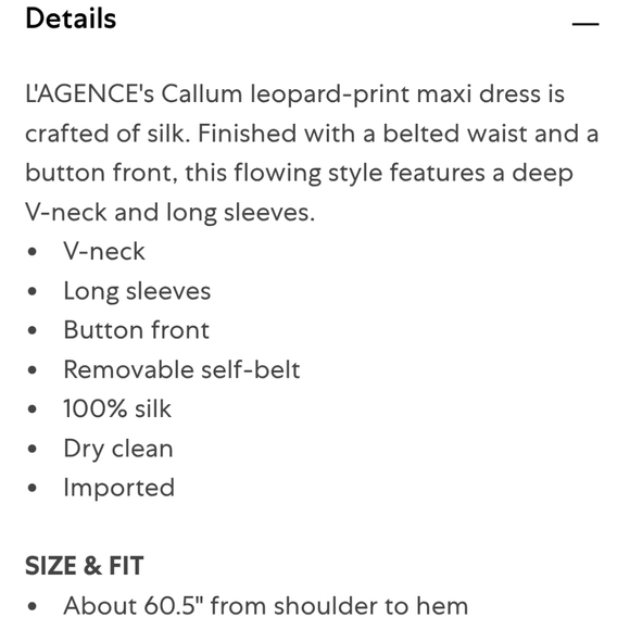 L'AGENCE Callum Leopard Print Sheer Silk Maxi Dress NWOT - Picture 11 of 11